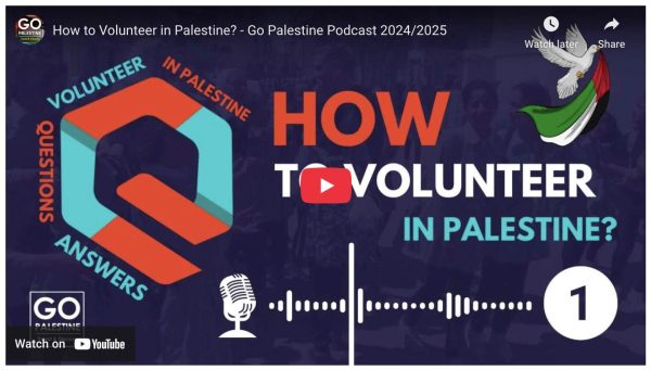 Volunteer Opportunities in The West Bank