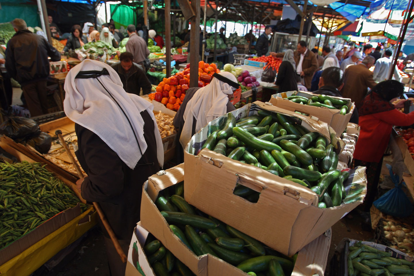 Agricultural Life