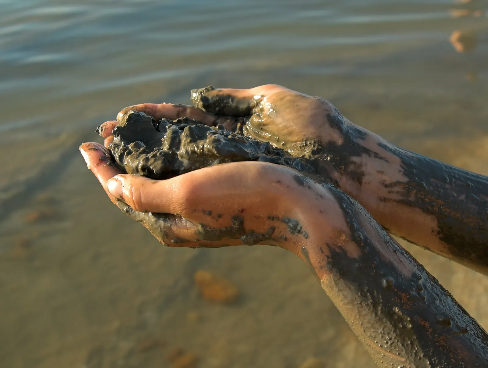 Dead Sea Mud
